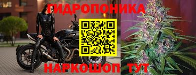 дурь Лесосибирск