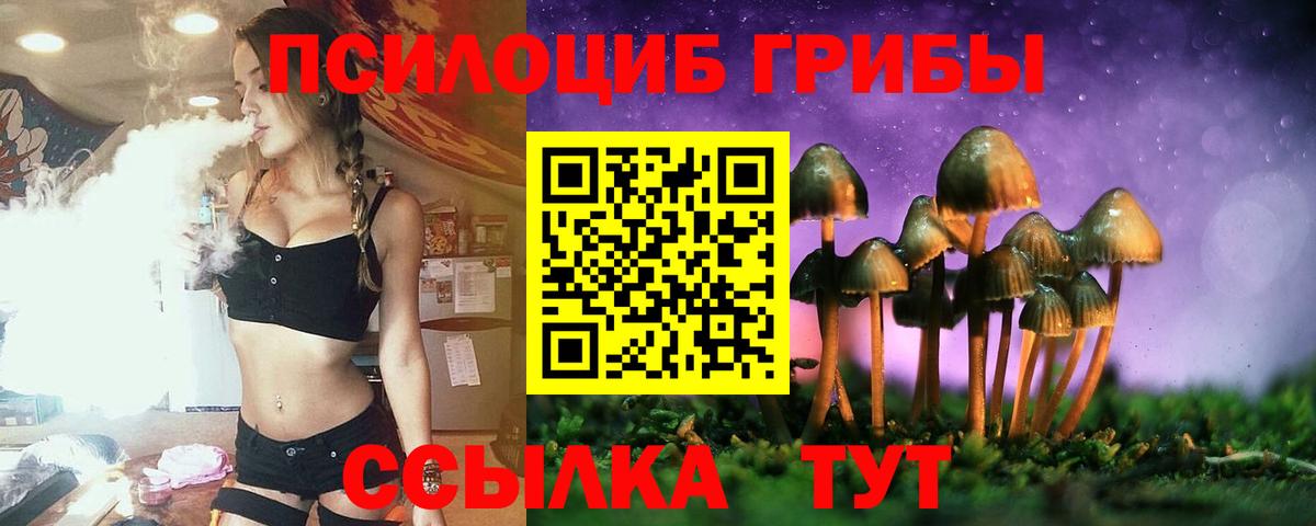 Галлюциногенные грибы Psilocybe  Вход с VPN  где продают   Усинск 